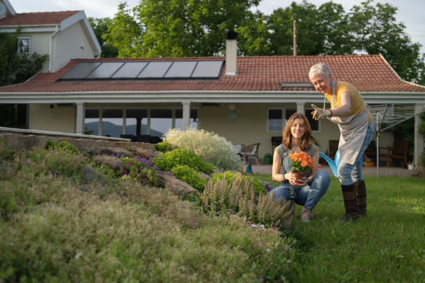 Urban Homesteading: Finding Your Slice of Sustainability